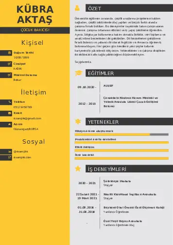 Çocuk Bakıcısı CV Örnekleri cv indir